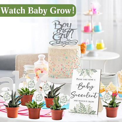 Newcotte Baby Shower Party Favors Succulent Tags Include 1 Piece Wooden Table Sign 50 Sets Succulent Plant Marker Succulent Favors Baby Shower Decoration(Greenery)