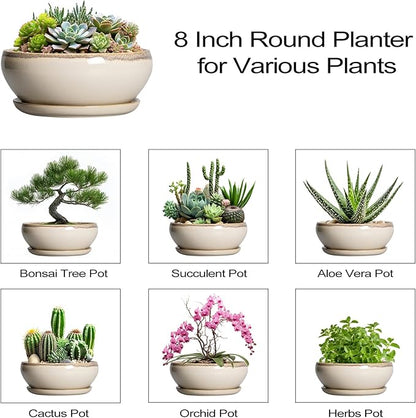 SQOWL Succulent Pots 8 Inch - Ceramic Bonsai Pots for Indoor Plants, Round Shallow Plant Pot with Drainage Hole and Saucer, Bowl Planter Outdoor, Patio Decor, Plant Lover Gifts, Beige