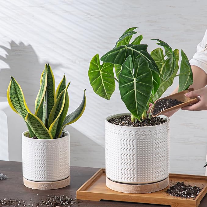 Indoor-Outdoor Ceramic Plant Pots: 8 Inch Flower Pots with Drainage Hole & Saucer - Decorative Ceramic Pots for Plants Herbs Succulents - Home Garden Patio Lawn Use