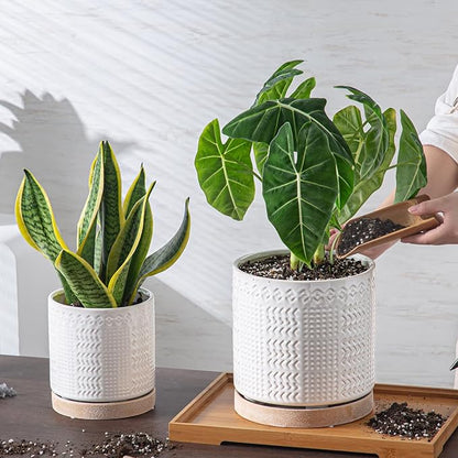 Indoor-Outdoor Ceramic Plant Pots: 6 Inch Flower Pots with Drainage Hole & Saucer - Decorative Ceramic Pots for Plants Herbs Succulents - Home Garden Patio Lawn Use