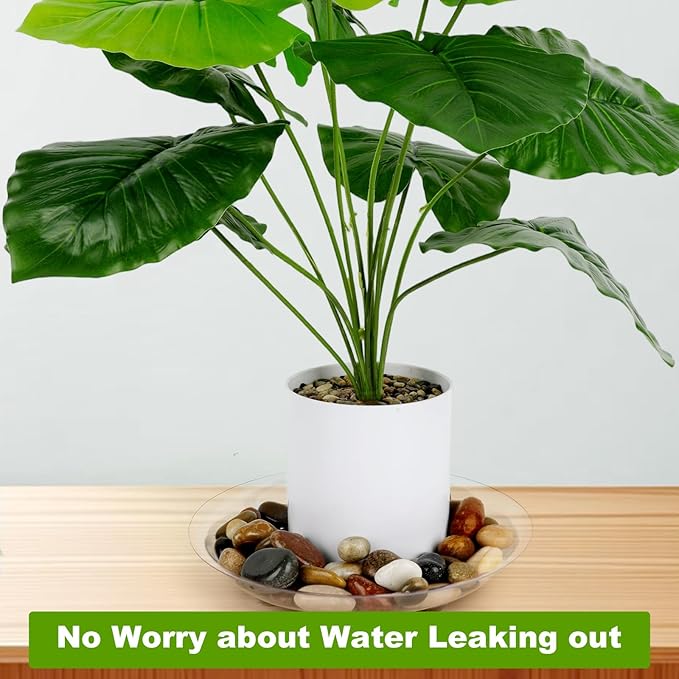 15 Pack Assorted Sizes 6 8 10 Inch Clear Thick Plastic Heavy Duty Sturdy Plant Saucer Drip Trays for pots, 5 Pieces of Each Size (Assorted Sizes 6'', 8'', 10'')