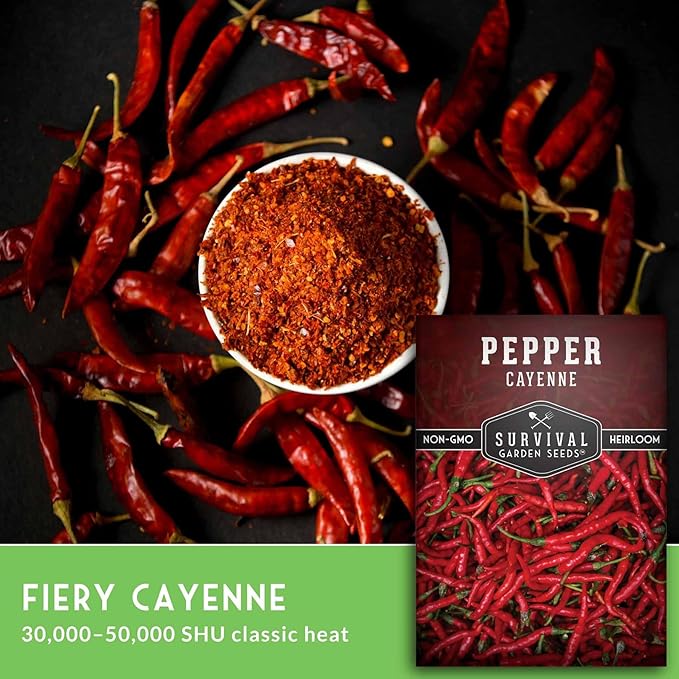 Cayenne Pepper Seeds for Planting | Hot Heirloom Non-GMO Red Peppers with 30,000–50,000 Scoville Heat – Survival Garden Seeds (2 Pack)