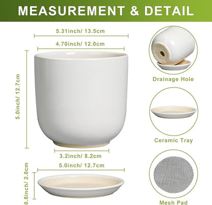 Indoor Plant Pot 5 Inch - Round Ceramic Planter for Succulent Plants with Drainage Hole and Saucer, Modern Home Decor, White