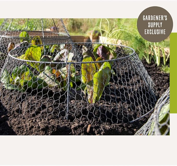 Gardener’s Supply Company Sturdy Chicken Wire Cloche Plant Protector Extension | Adds Broader Area Coverage Protection for Tall Plants Vegetables & Seedlings | (Cloche Extension Only)