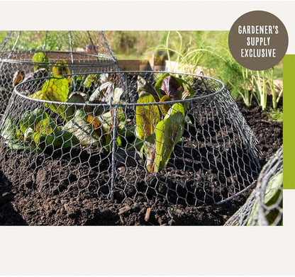 Gardener’s Supply Company Sturdy Chicken Wire Cloche Plant Protector Extension | Adds Broader Area Coverage Protection for Tall Plants Vegetables & Seedlings | (Cloche Extension Only)
