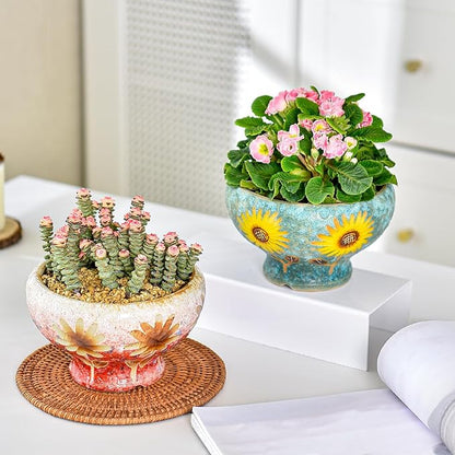 Sungmor Small Succulent Planters Set of 2, Beautiful Hand Crafted Ceramic Plant Pots Cute Cactus Pot, 6.5 Inch Flower Pots for Indoor Plants with Drainage, Desktop Windowsill Home Office Decor Pots