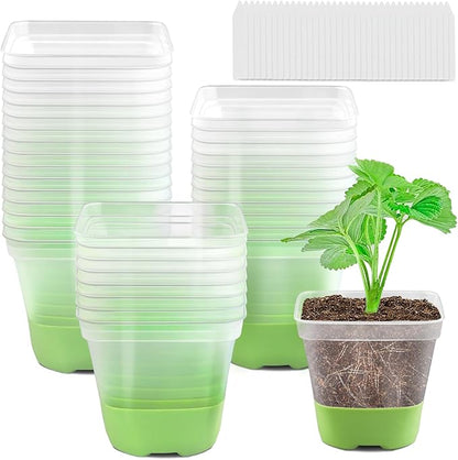 36 Pack 4 Inch Square Plastic Nursery Pots, Clear Plant Pot with Soft Silicone Base, Flower Pots with Drainage Holes, Reusable Seedling Pots