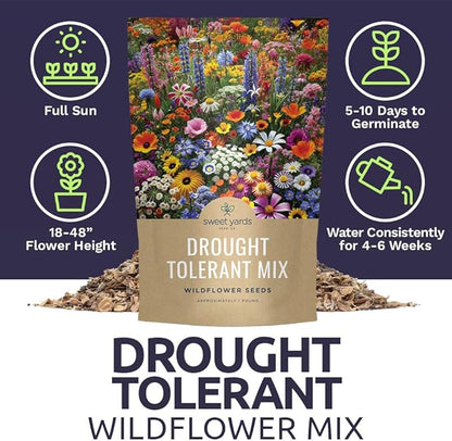 Drought Tolerant Wildflowers Mix – Bulk 1 Pound Bag – Over 120,000 Open Pollinated Non-GMO Seeds – 21 Different Dryland Species