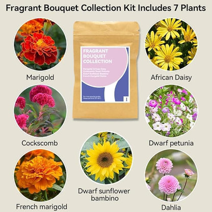 inbloom Fragrant Bouquet Flower Seed Pod Kit for AeroGarden, iDoo, Ahopegarden, GARDENCUBE, 7 Pods (350+ Flower Seeds with Sunflower, Mexican Marigold, Cockscomb, French Marigold, Dahlia)