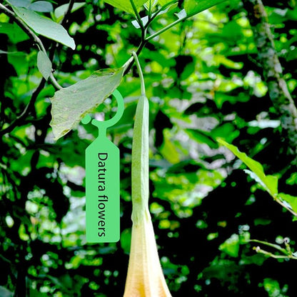 Plastic Plant Labels, 100 Pcs Plant Tags and Labels, Garden Labels Stakes for Hanging Labels for Plant Tree Nursery Seedling Tags Garden Decor(Green)