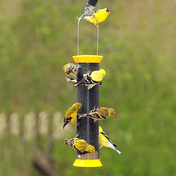 CountryMax Nyjer Thistle Seed for Finches 50lbs - Premium Nyjer Bird Seed for Outside Feeders, Large Bulk Bag of Wild Bird Food