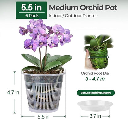 T4U Orchid Pot, 6 Pack 5.5 Inch Clear Orchid Pots with Holes and Saucers for Repotting, Plastic Flower Plant Pot with Drainage for Indoor Outdoor Plants, Slotted Orchids Planter for Root Health