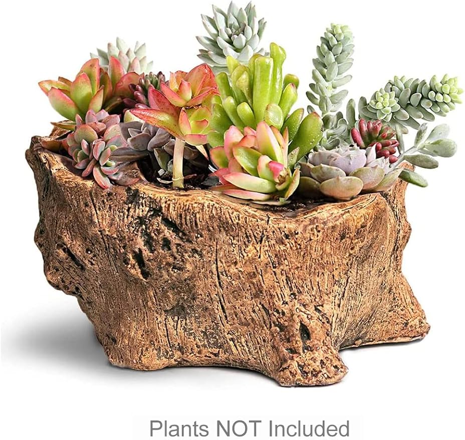 Dahlia Driftwood Stump Log Concrete Planter/Succulent Pot/Plant Pot, 5.0L x 4.5W