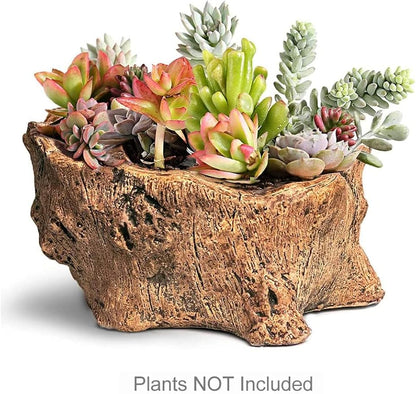 Dahlia Driftwood Stump Log Concrete Planter/Succulent Pot/Plant Pot, 5.0L x 4.5W