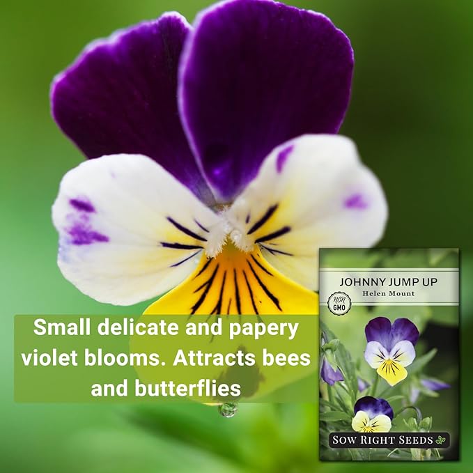 Sow Right Seeds - Violet, Johnny Jump-Up Flower Seed for Planting - Beautiful Flowers to Plant in Your Garden - Non-GMO Heirloom Seeds - Perfect for Spring Containers - Attract Pollinators (4)