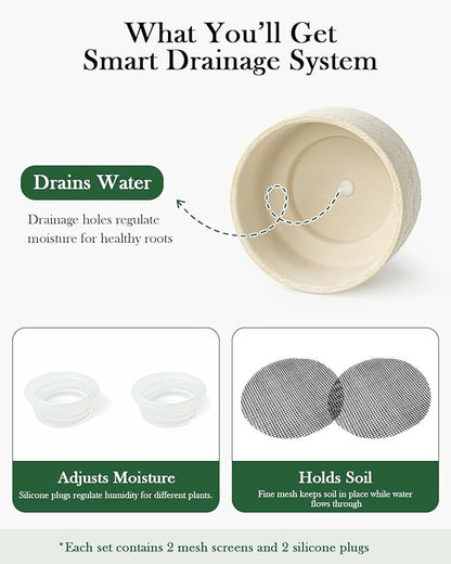 Succulent Pots, 8 Inch + 6 Inch Plant Pots for Plants with Drainage Hole, Indoor Outdoor Ceramic Planter, Set of 2 Round Flower Pots for Succulent and Plants, Beige