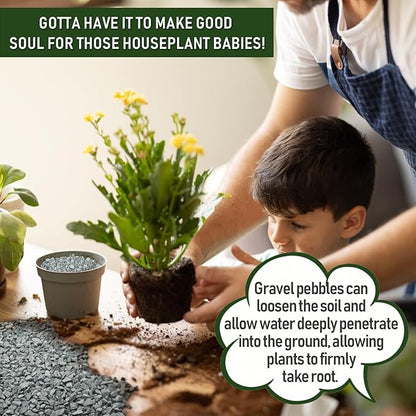 2 LBS Blue Pea Gravel, Natural Succulent and Cactus Gravel Pebbles, Pebbles for Indoor Plants, Natural Gardens Mulching, for Houseplants, for Aquarium Gravel, to Maintain Soil Aeration(4-6mm)