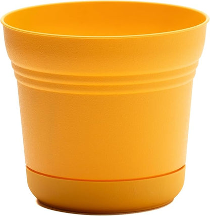 Bloem Saturn Round Planter with Saucer Tray: 12" - Earthy Yellow - Durable Plastic Pot, Matte Finish, Removable Saucer, for Indoor & Outdoor Use, Gardening, 3 Gallon Capacity