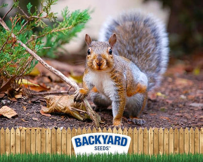 CountryMax Backyard Seeds Squirrel & Chipmunk Food Mix – 8 lb Bag – Premium Wildlife Blend with Sunflower Seeds, Peanuts & Corn – Ideal for Squirrels, Chipmunks, Rabbits & Backyard Birds