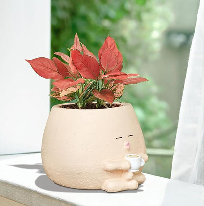 Smily Face Planter Pot with Coffee Cup Cute Resin Flower Head Planters for Indoor Outdoor Unique Sit Succulent Pots with Drainage Hole Gift IdeaI for Mother Christmas (Khaki)