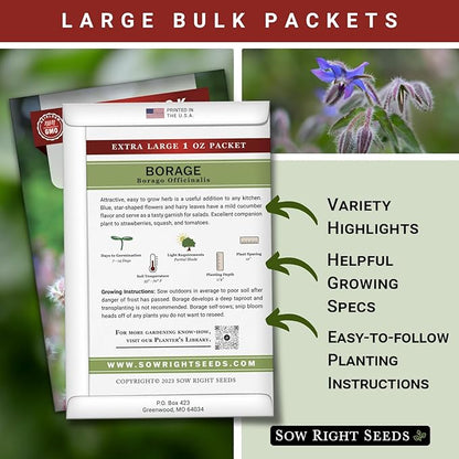 Sow Right Seeds - Bulk Borage Seeds for Planting - 1 Ounce, 1200 Seeds - Non-GMO Heirloom - Jumbo Pack with Instructions to Plant a Home Herb Garden Outdoors - Enjoy a Bountiful Harvest