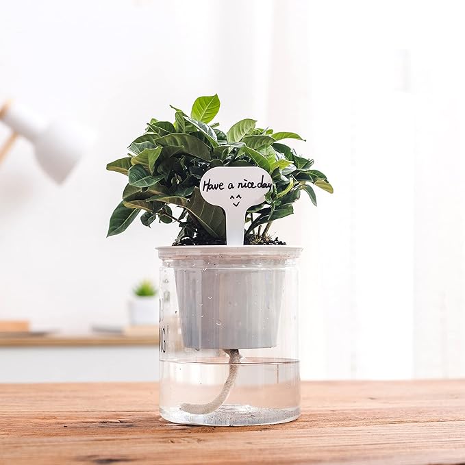 ORIMERC 30 feet Self Watering Wick Cord Automatic Watering Device for Vacation Self-Watering Planter Pot Potted Plant Sitter Auto Drip Waterer with 30 pcs 5 x 7cm Plant Labels Garden Tag Marker