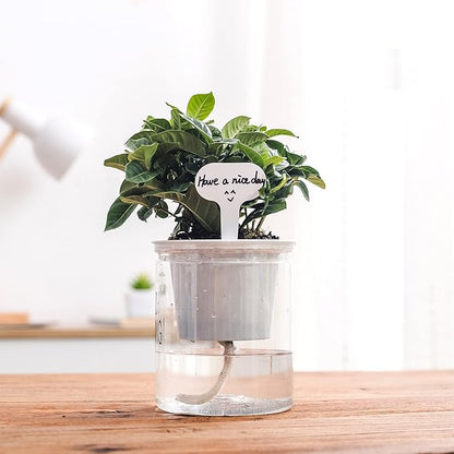 ORIMERC 30 feet Self Watering Wick Cord Automatic Watering Device for Vacation Self-Watering Planter Pot Potted Plant Sitter Auto Drip Waterer with 30 pcs 5 x 7cm Plant Labels Garden Tag Marker