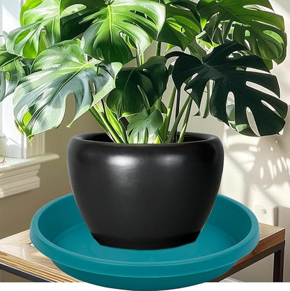 Plastic Plant Saucers for Big Pots 12 Inch Round Pack of 5 Heavy Duty Drip Trays for Large Indoor Outdoor Pots