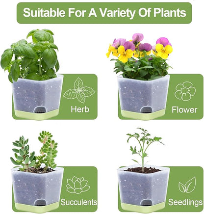 20 Pack 3 Inch Plastic Succulent Pots with Drainage Holes & Saucers, Square Nursery Planters for Indoor Outdoor Plants, Half Clear Flower Pots