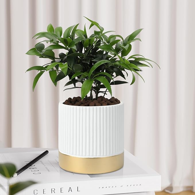 Set of 3 Cement Planter Pots with Drainage Hole,4 inch Plant Pots for Plants Indoor Houseplants,Succulent Pots Windowsil Planter (White&Gold)