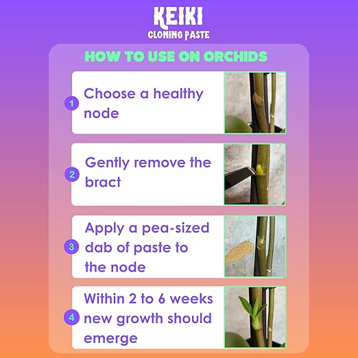 Keiki Paste for Orchids, Monsteras, and Houseplants – Easy to Use – Supports New Growth – 100+ Applications – 0.5oz