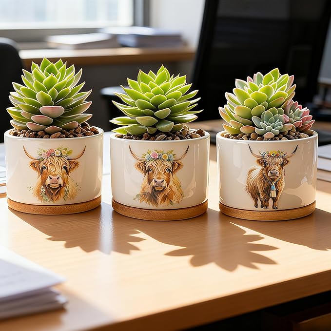 Highland Cow Planters for Indoor Plants – 1350°C Kiln-Fired Fine Ceramic Succulent Planter Set of 3, Cute Animal Pots for Room, Bathroom, Yoga, Meditation Decor (No Plant Included)