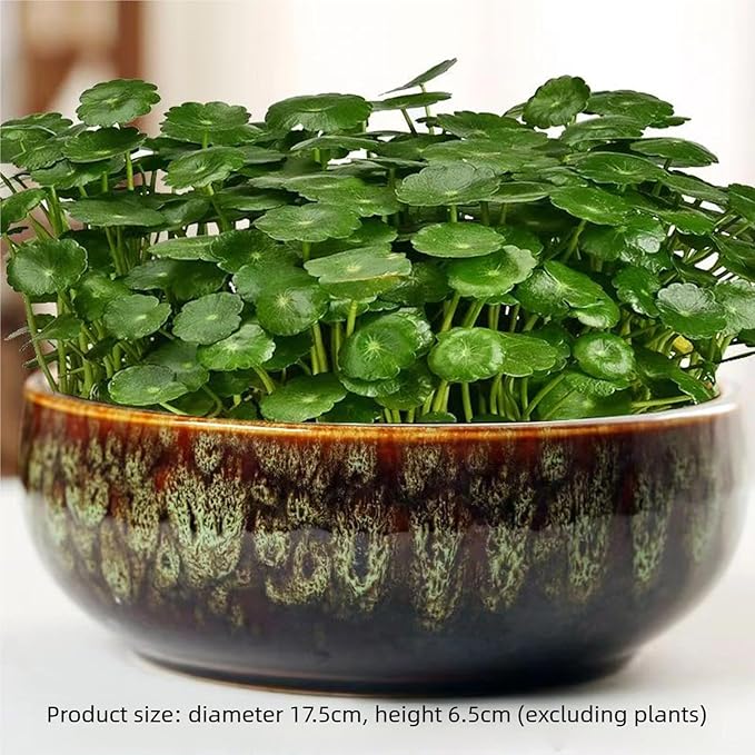 Lotus Bowl Planter, Decorative Ceramic Plant Pots with Moisture-Multifunctional Design, Succulents Orchids Indoor Plants, Thickened Round Planter for Home Desk & Shelf Decor (Yellow)