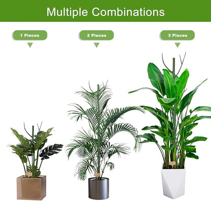 Adjustable Monstera Plant Stakes 27.56" (6 Pack) - Detachable Reusable Supports for Climbing & Potted Plants 10-45" Tall, Indoor/Outdoor Garden Stakes
