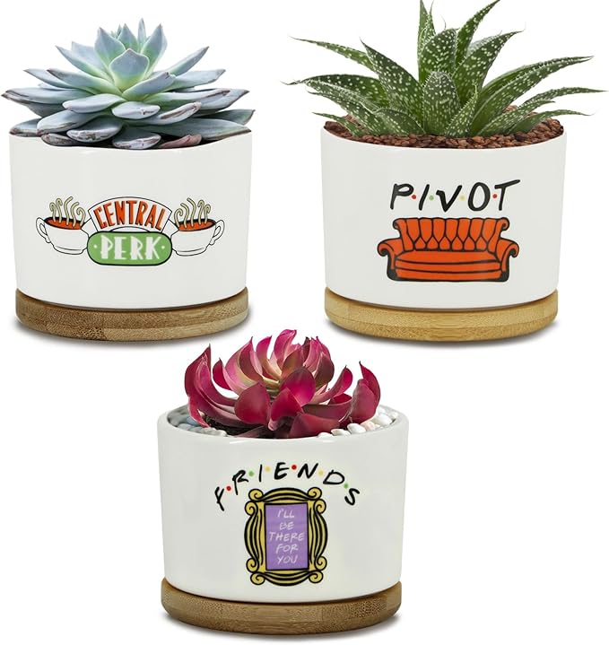 3 Pcs Friends tv Show Cute Merchandise Ceramic Plant Pots,Funny Friends Decor Themed Gifts for Women,for House Plants Garden Planters Succulent Pots(Not Included Plants)
