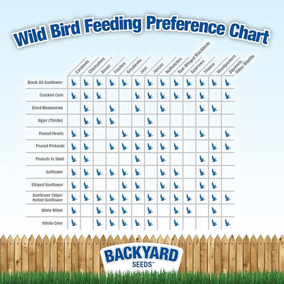 CountryMax Backyard Seeds Berries 'N Fruit Bird Seed Mix 40lbs - Premium Blend with Dried Fruit & Berries, Large Bag of Wild Bird Food