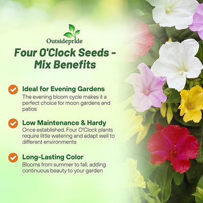 Outsidepride Mixed Four O'clock Flower Seeds - 1/4 lb Perennial Fragrant, Trumpet-Shaped Blooms, Deer-Proof & Easy to Grow, for Pollinator & Evening Gardens, Containers, Hedges, or Borders