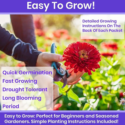 NatureZ Edge Zinnia Seeds for 2026 Planting Outdoors, Over 650 Flower Seeds, 5g, Non GMO Made in USA, Bulk Semillas De Flores para Sembrar, Variety Mix, Easy to Grow Zinnia Seed Mix