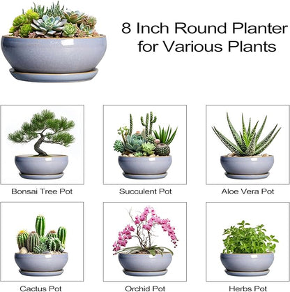SQOWL Succulent Planters - 8 Inch Ceramic Bonsai Pots with Drainage Hole and Plant Saucer, Shallow Round Planter for Indoor Plants Flower, Bowl Planter Outdoor, Office Decor, House Warming Gift, Blue