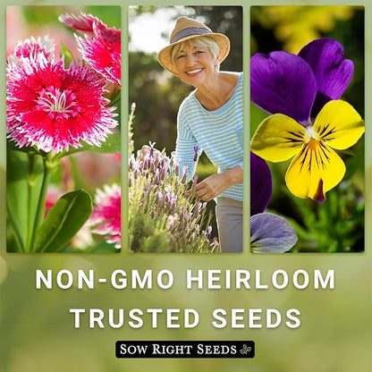 Sow Right Seeds - Moonflower (Ipomoea alba) Flower Seeds for Planting - Non-GMO Heirloom Flowers to Grow in Your Home Garden - Vining Plant for Beautiful Evening Blooms - Wonderful Gift (2)