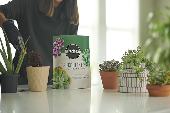 Miracle-GRO Succulent Potting Mix, for Indoor Succulents, Aloe Vera and More, Made with Miracle-GRO Plant Food, 4 qt. (3-Pack)