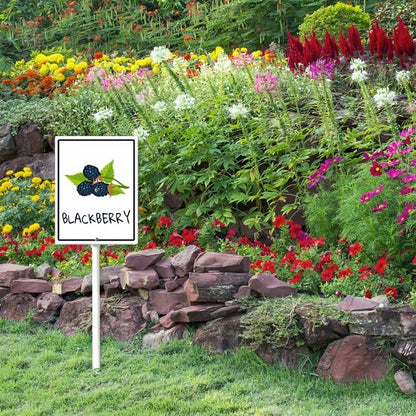 Blackberry Marker Yard Sign with Stakes 8in×12in, Aluminum Yard Signs, Waterproof Plant Marker Reusable Garden Stake Tags with Vegetable Names for Nursery Outdoor Garden