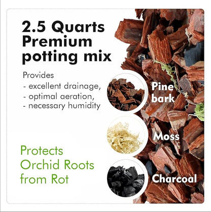 SMEREKA Orchid Pot Set with 6-Inch Clear Slotted Inner and Outer Pots and Premium Potting Mix for Healthy Indoor Orchid Repotting and Growth