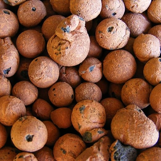 Hydro Clay Pebbles (Leca) Orchid/Hydroponic Grow Media - 10 lbs. (More Than 10 Liters) by PowerGrow Systems