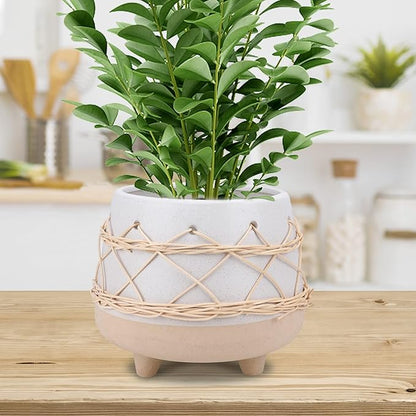 Ceramic Planter 8 Inch Plant Pots Indoor Outdoor Planter with Drainage Hole Flower Pots Plant Pot Ceramic Mid-Century