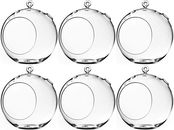 WGV Hanging Terrarium Globe, Width 8", Height 9", DIY Air Succulent Planter, Clear Glass Vase Orb with Flat Bottom, Candle Holder for Windowsill Outdoor Garden Decor, 6 Pieces Bulk