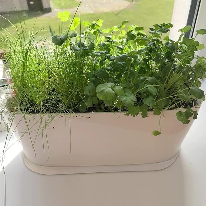 Window Box Planter with Saucers,10 Sets Rectangular Planter with Multiple Drainage Holes and Trays Plant Pots, for Succulent Cactus Flowers Vegetable