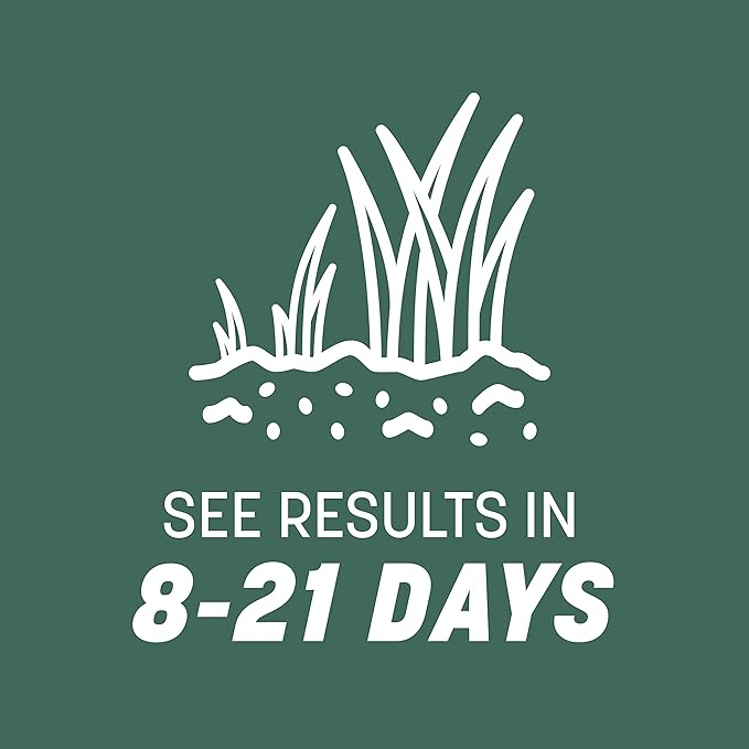 Pennington Kentucky 31 Tall Fescue Penkoted Grass Seed 3 lb, Green (Pack of 2)