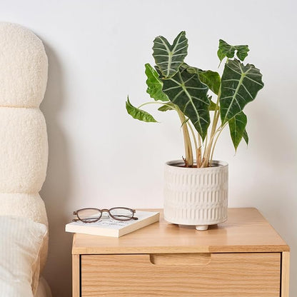 5 Inch Ceramic Planters for Indoor Plants, White Cactus Snake Plant Pots with Drainage, Unique Design Round Flower Pot for Home Decoration