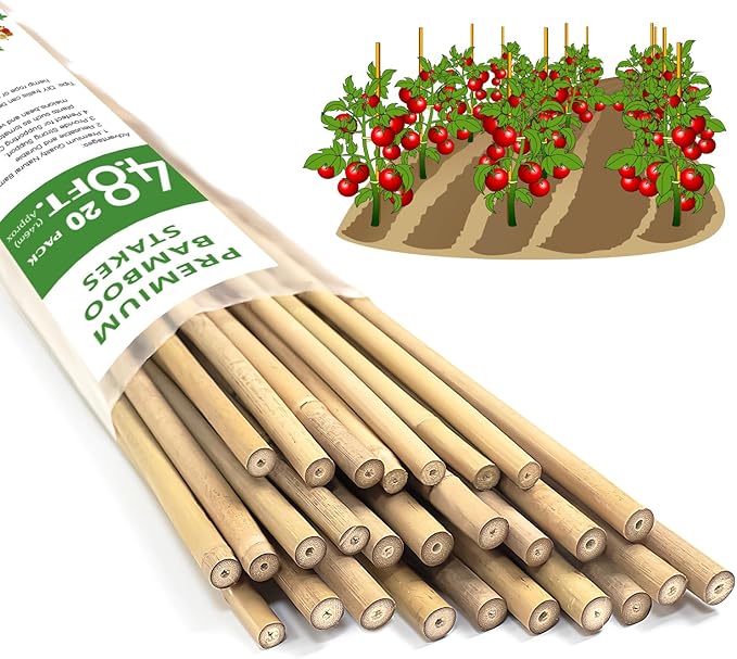 Plant Stakes,20Pcs Bamboo Stakes,4.8 FT Natural Bamboo Plant Support Stakes,Bamboo Stakes for Indoor and Outdoor Plants Tomatoes Beans Flowers Potted Plants Climbing Support